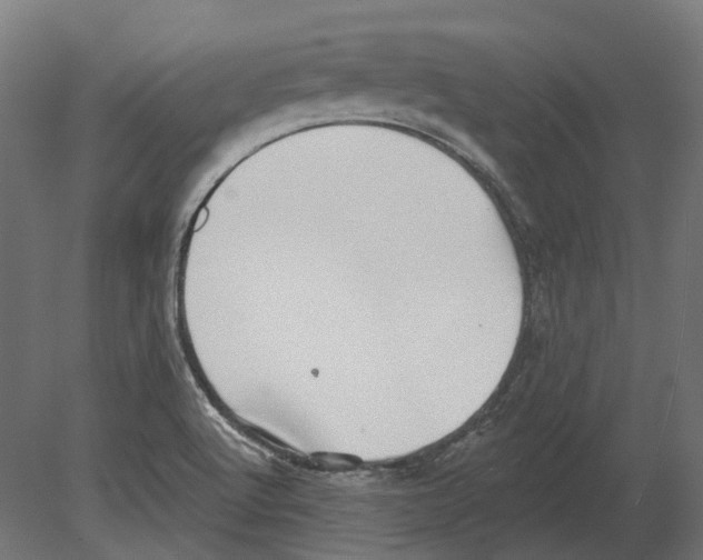 X0000080721512200701121830