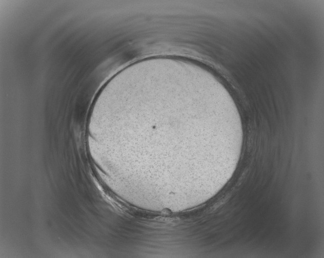 X0000080721513200701121830