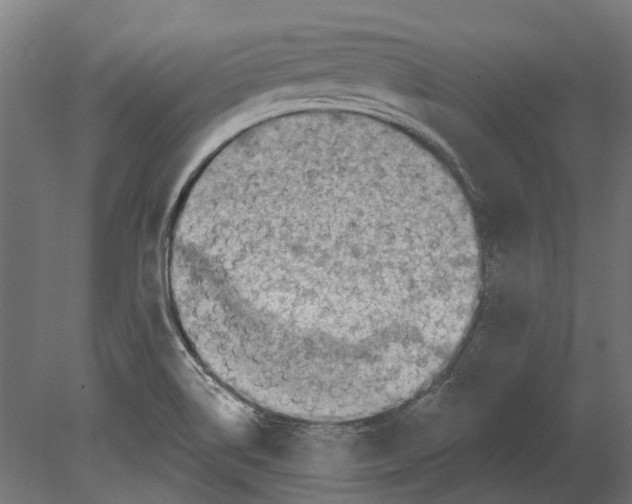 X0000080721514200701121830