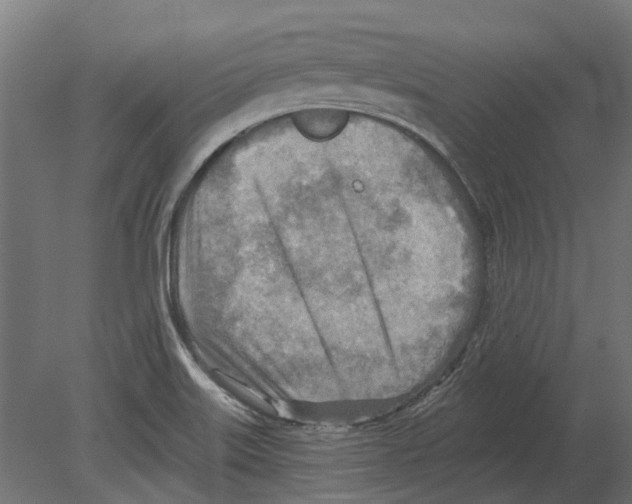 X0000080721515200701121830