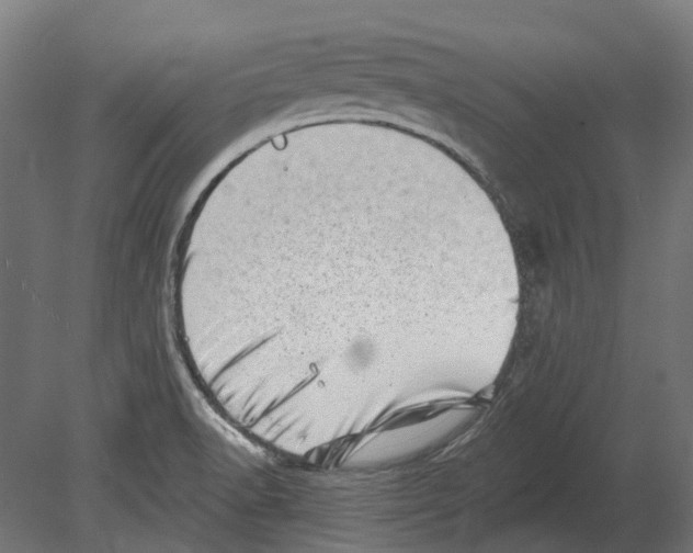 X0000080721518200701121830