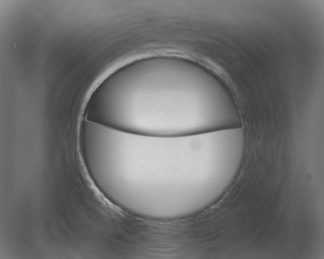 X0000080721520200701121830