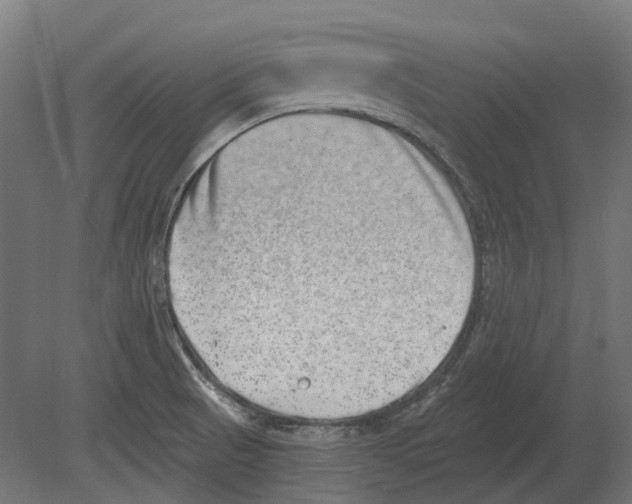 X0000080721521200701121830