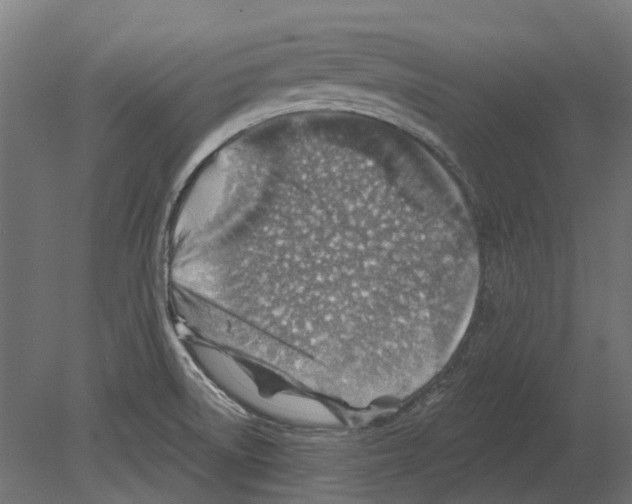 X0000080721522200701121830