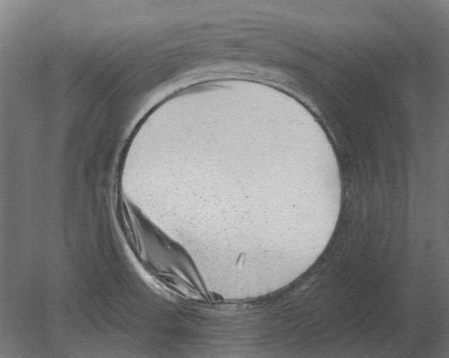 X0000080721523200701121830