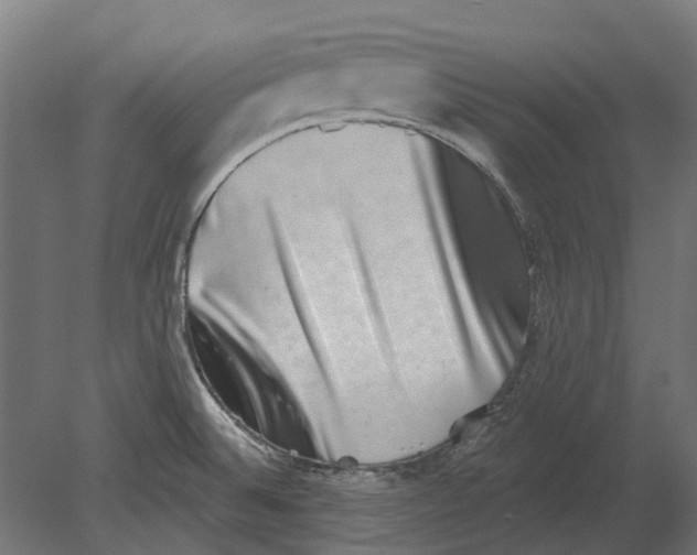 X0000080721524200701121830