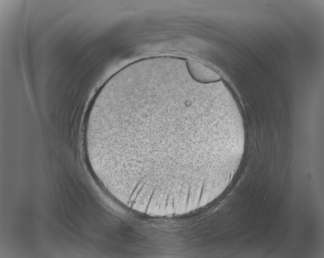 X0000080721525200701121830