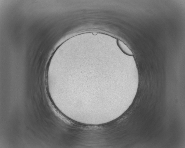 X0000080721526200701121830