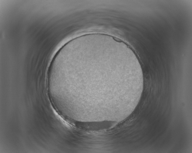 X0000080721527200701121830