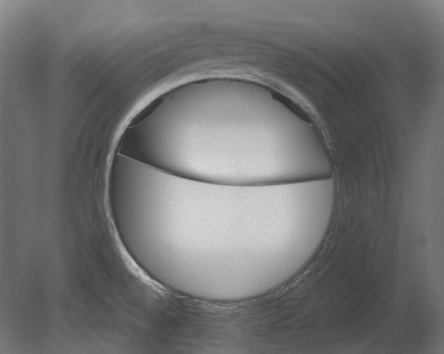 X0000080721528200701121830