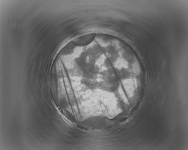 X0000080721529200701121830