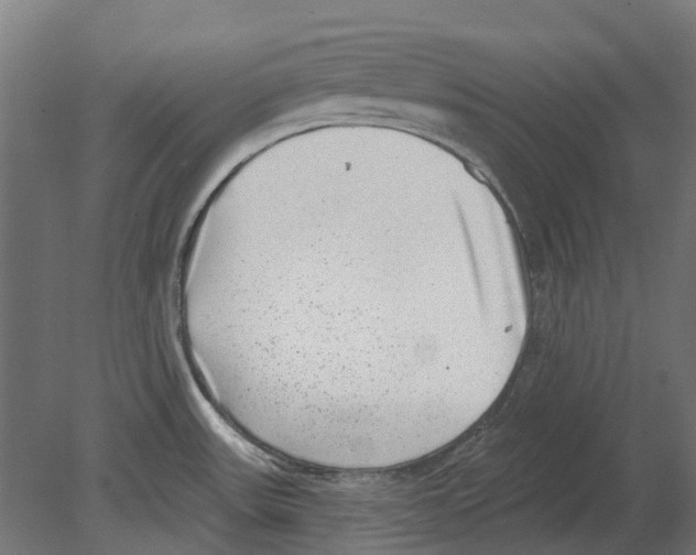 X0000080721531200701121830