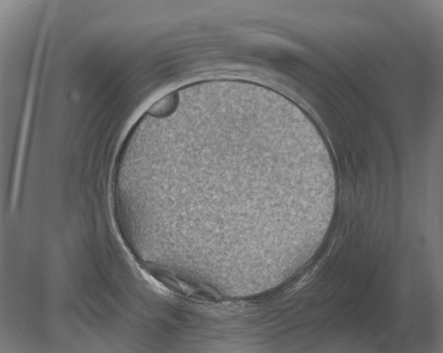 X0000080721533200701121830