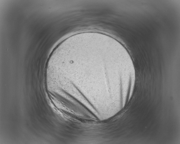 X0000080721534200701121830