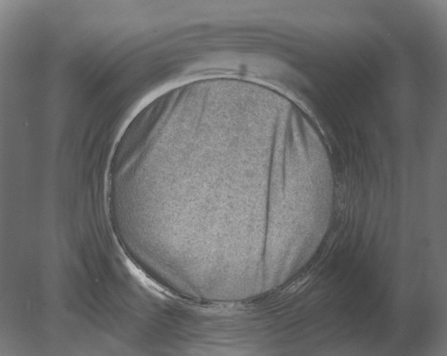 X0000080721535200701121830