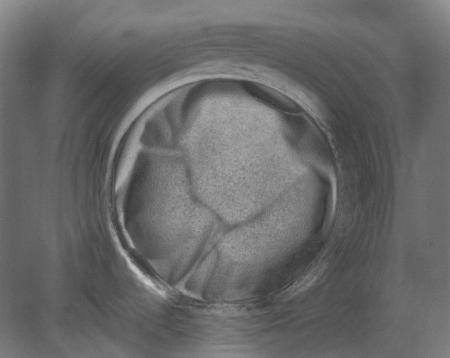 X0000080721536200701121830