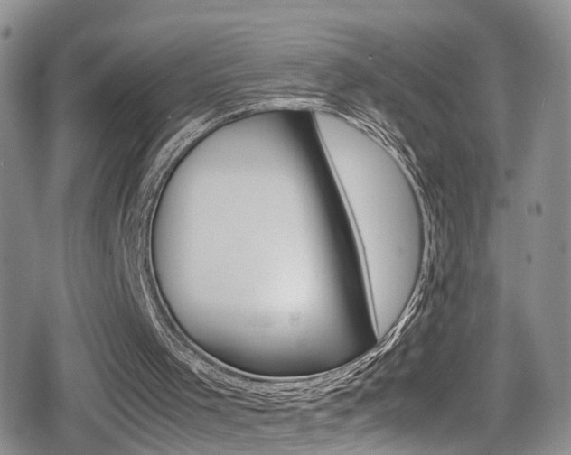 X0000080730001200612150915