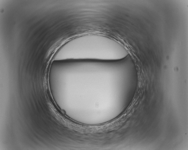 X0000080730002200612150915