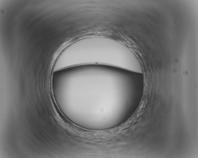 X0000080730003200612150915