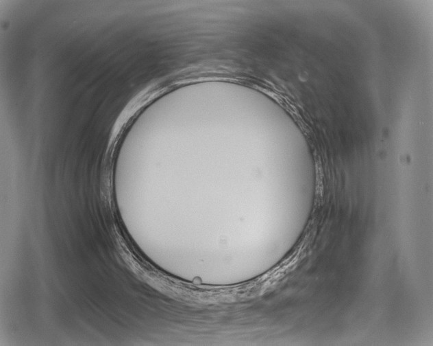 X0000080730004200612150915