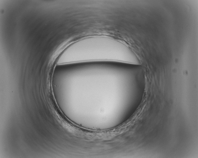 X0000080730005200612150915