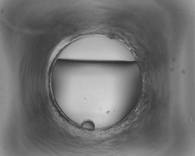 X0000080730006200612150915