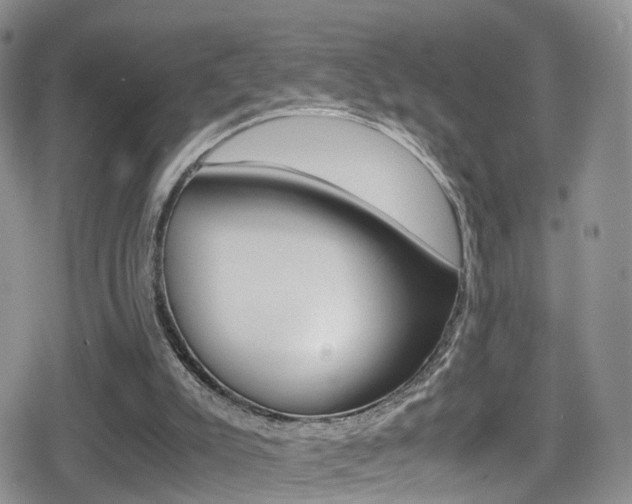 X0000080730007200612150915