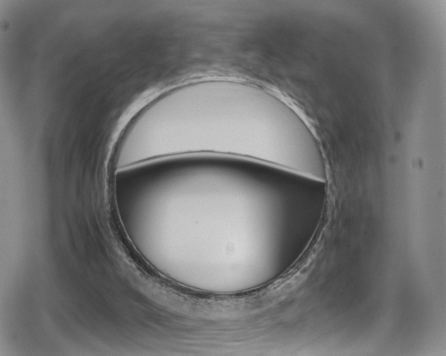 X0000080730008200612150915