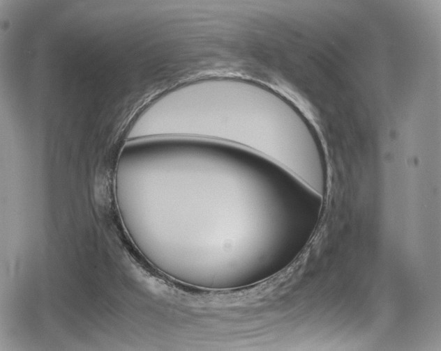 X0000080730009200612150915