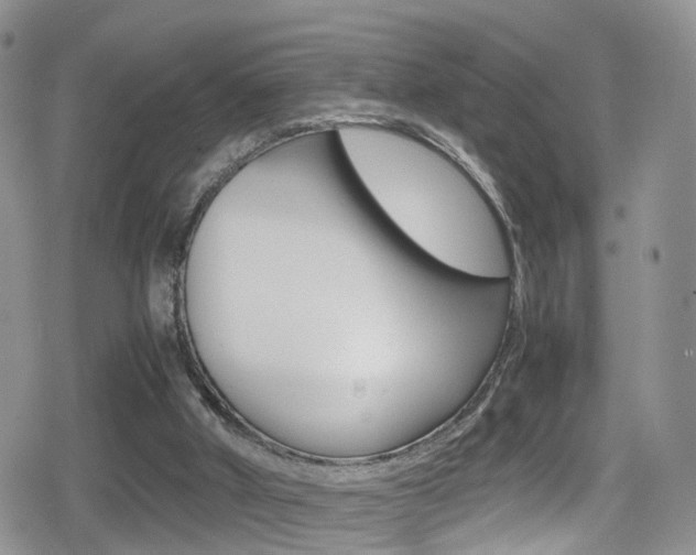 X0000080730010200612150915