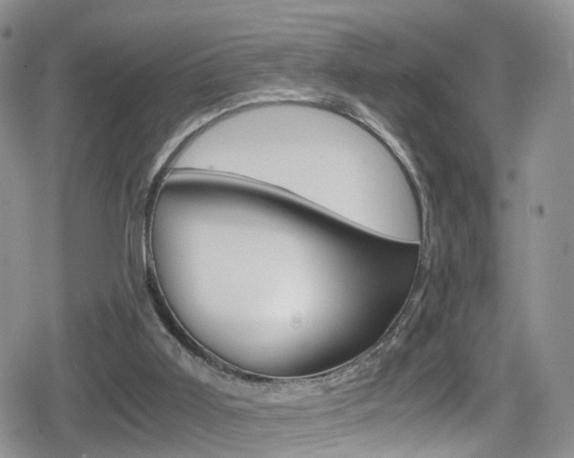 X0000080730011200612150915