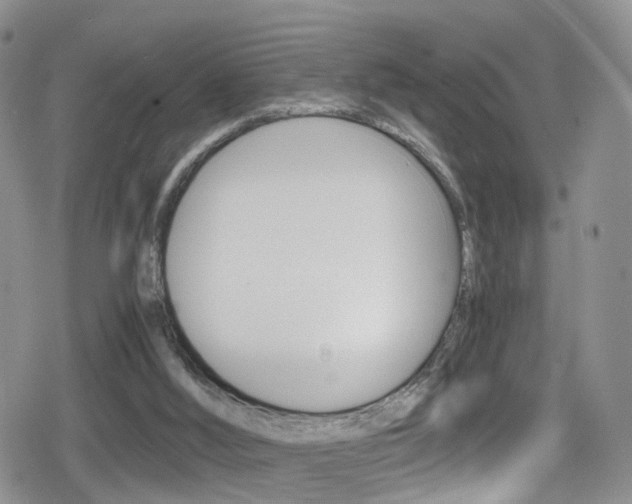 X0000080730012200612150915