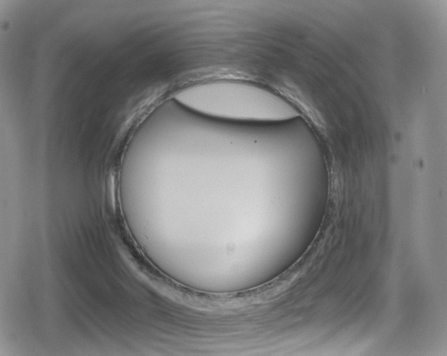 X0000080730014200612150915