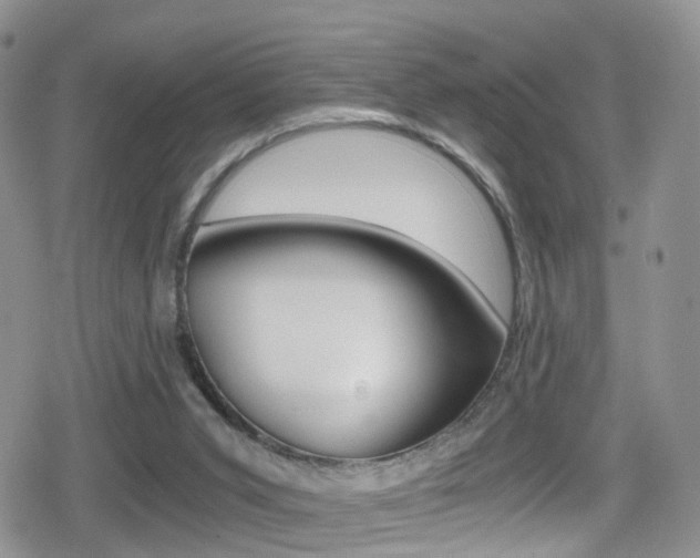 X0000080730015200612150915