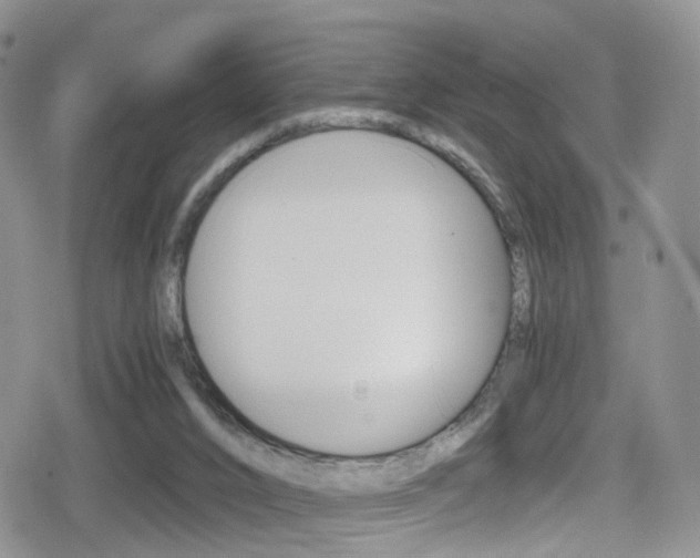 X0000080730016200612150915