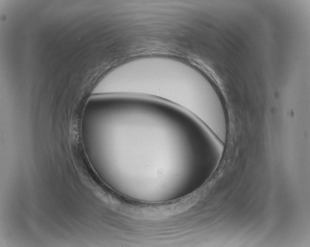 X0000080730017200612150915