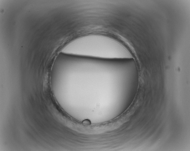 X0000080730018200612150915