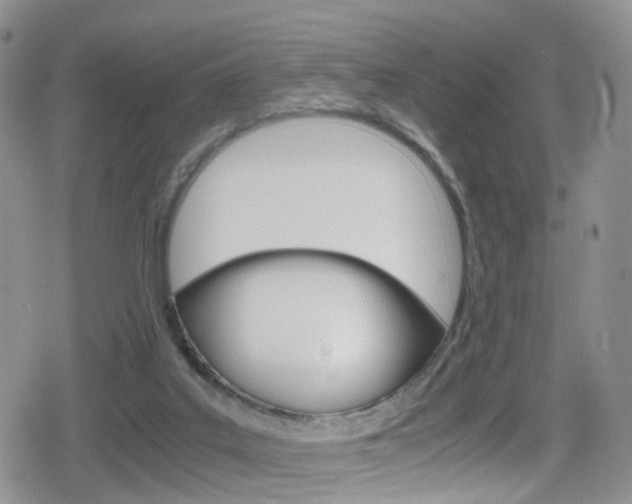 X0000080730019200612150915