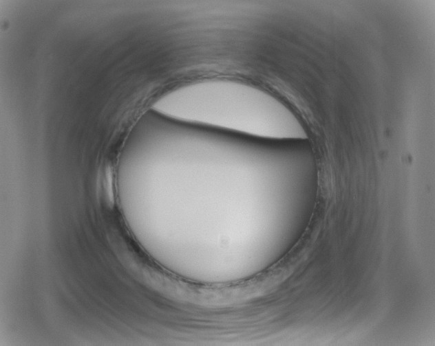 X0000080730022200612150914