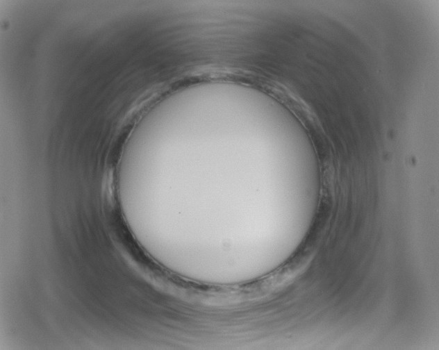 X0000080730024200612150914