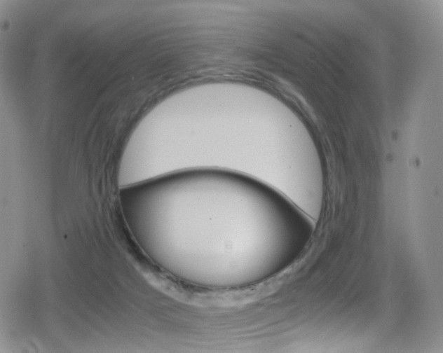 X0000080730025200612150914