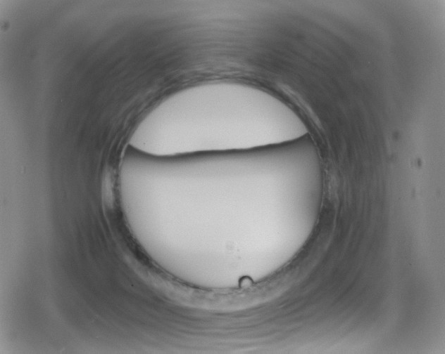 X0000080730026200612150914