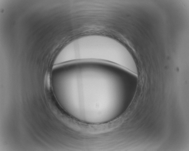 X0000080730027200612150914