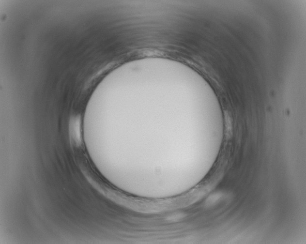 X0000080730028200612150914