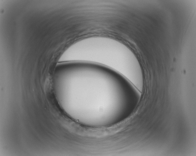 X0000080730029200612150914