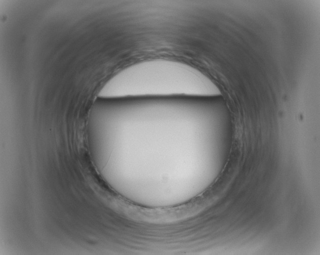 X0000080730030200612150914