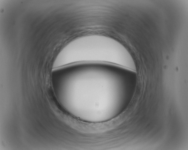 X0000080730031200612150914