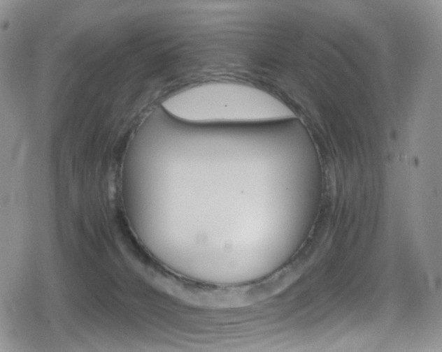 X0000080730032200612150914