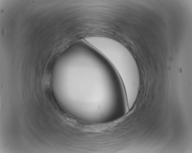 X0000080730033200612150914