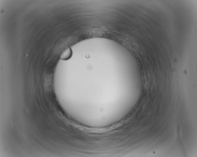 X0000080730034200612150914